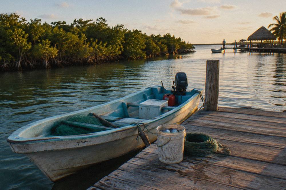 A small boat moored at a wooden dock on a calm lagoon surrounded by mangroves