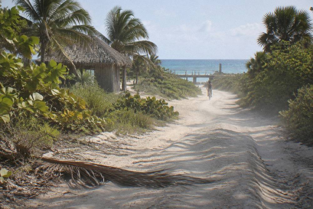 An unpaved dirt road cutting through low coastal forest toward the sea