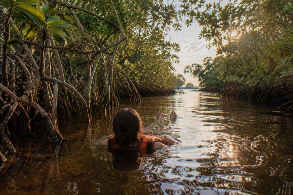 A person floating on their back in narrow brown water between dense mangrove walls
