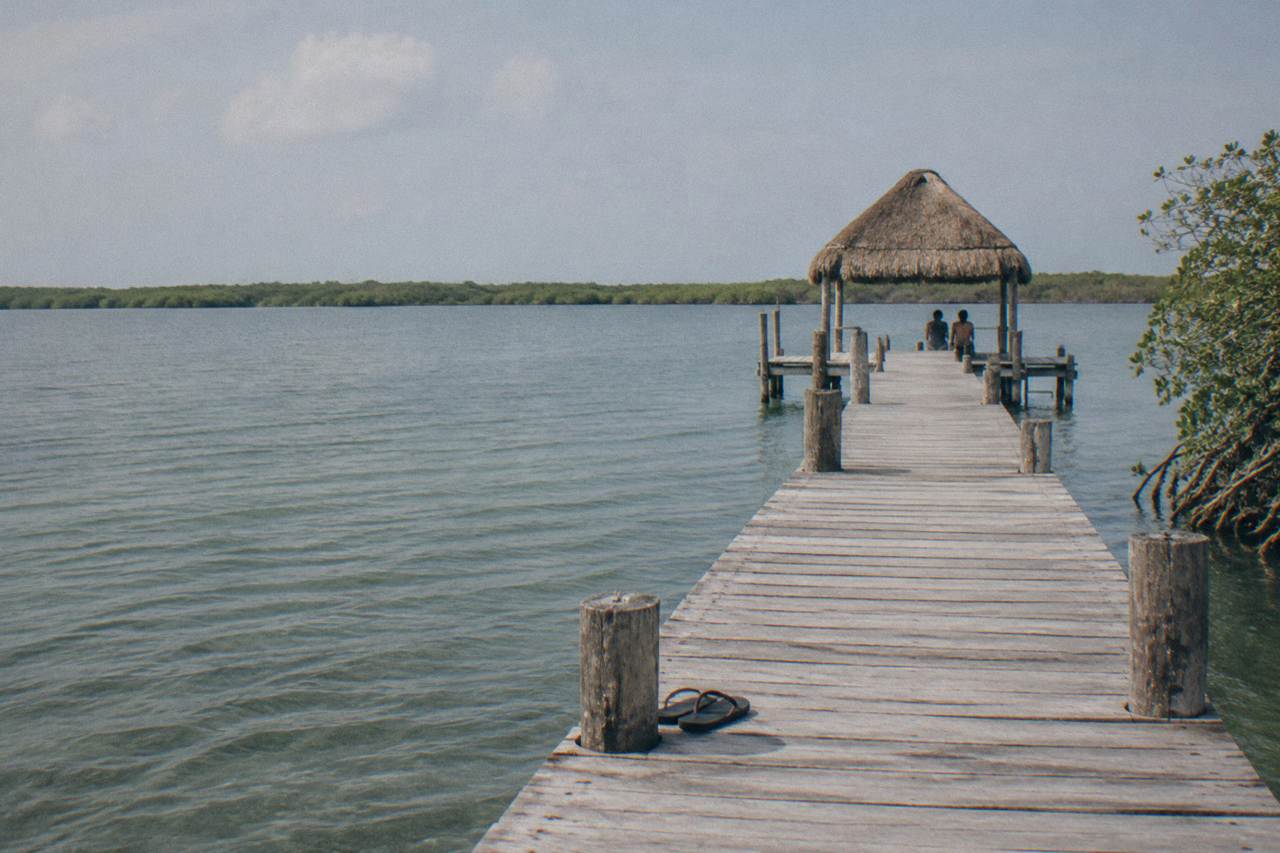 A wooden dock stretching over a wide lagoon with mangrove forest at the horizon under a pale sky