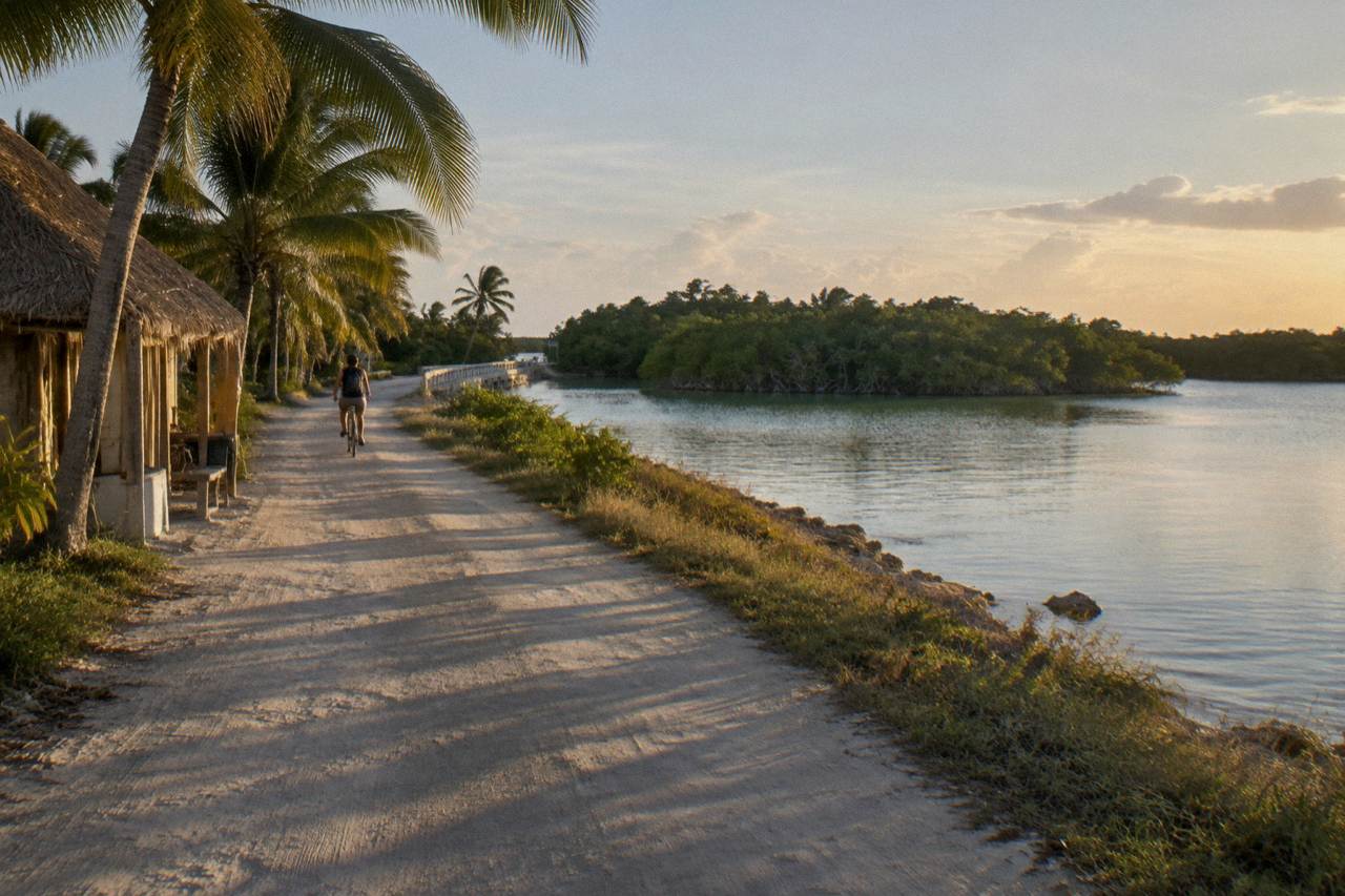 A narrow dirt road running beside a calm lagoon toward a line of mangroves under a wide sky.
