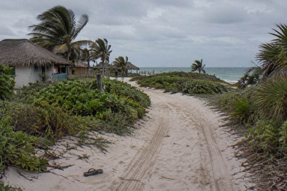 A narrow sandy track winding through low coastal scrub toward the sea