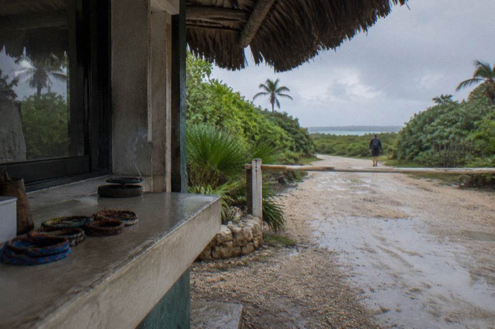 A shaded checkpoint booth beside a gravel road at the edge of a tropical reserve