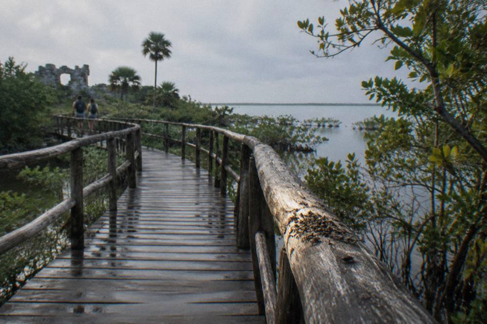 Boardwalk trail winding through wetland forest toward a lagoon