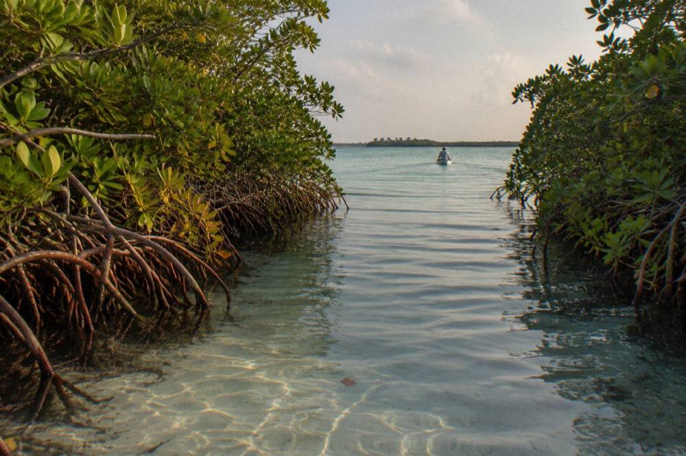 Narrow ancient water channel bordered by mangroves under open sky