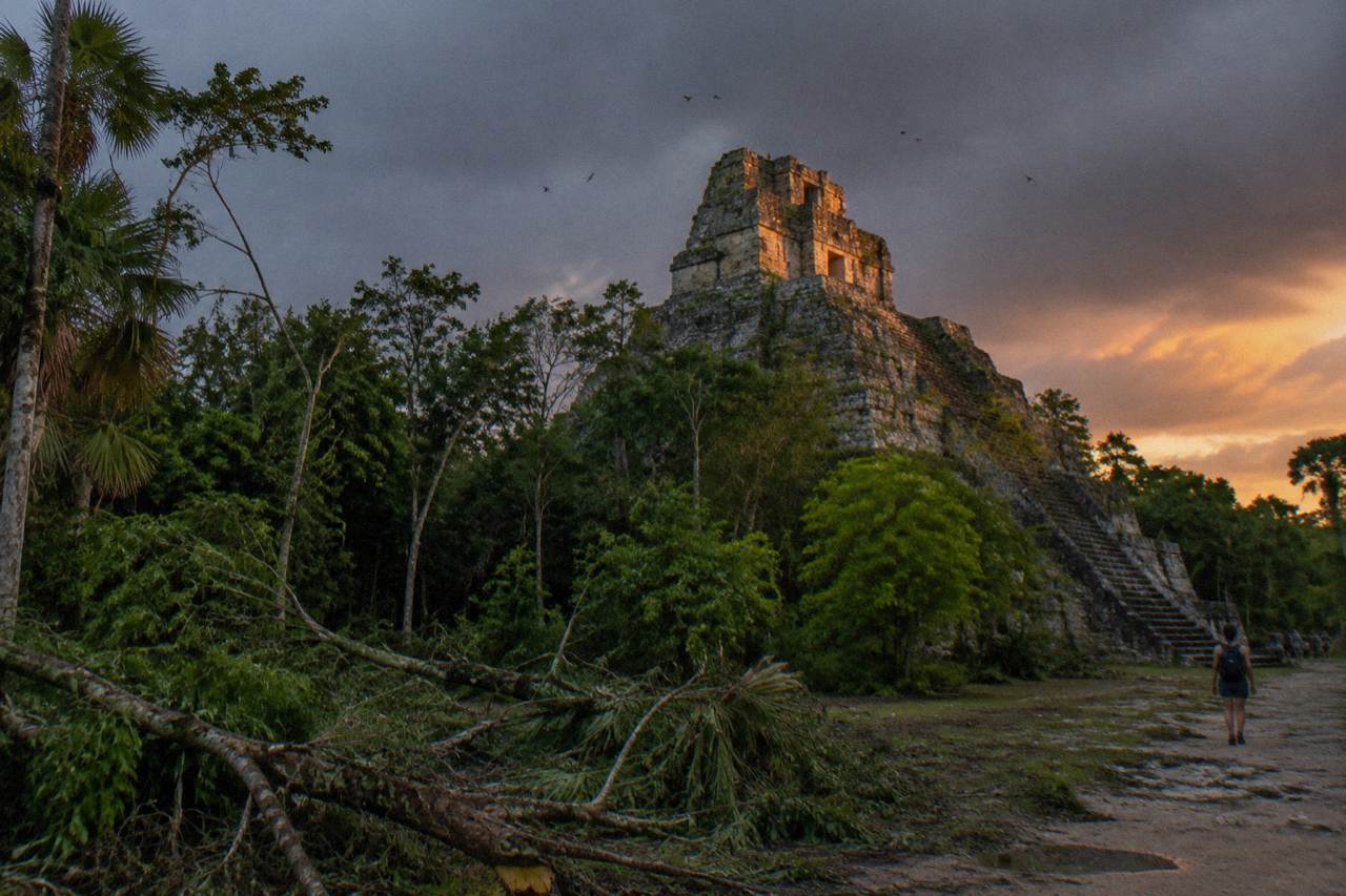 Stone Maya pyramid rising above dense tropical forest at Muyil