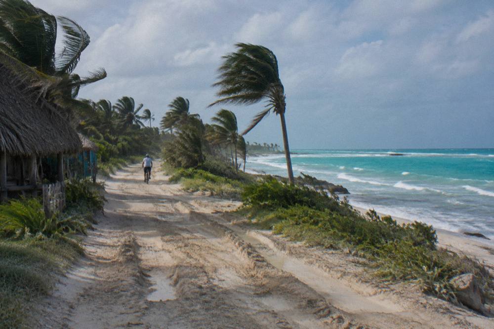 A rutted dirt road running beside the Caribbean coastline with palms and open sky