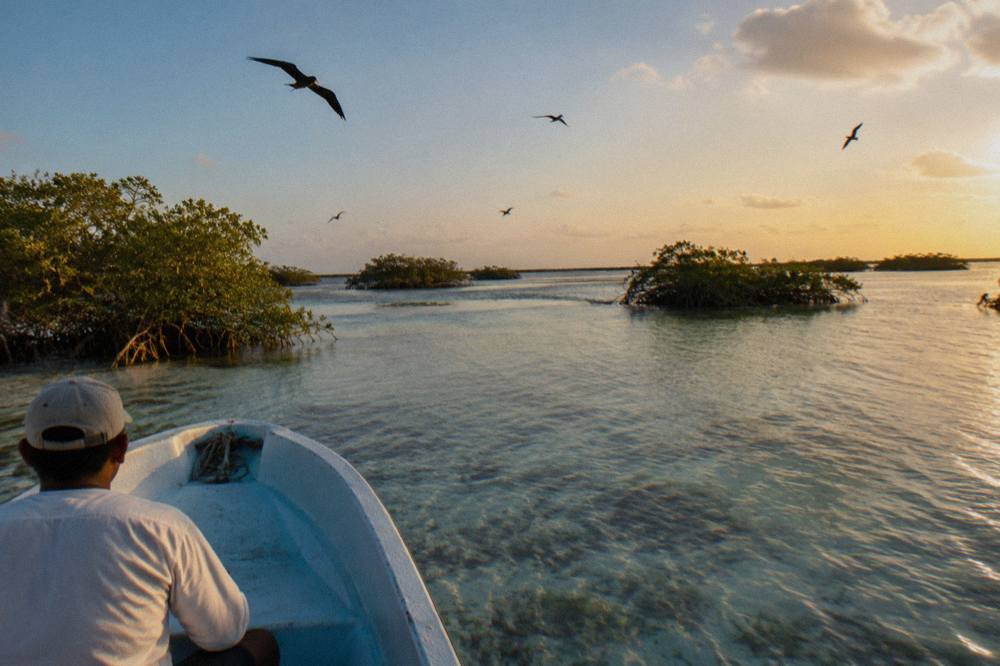 Small boat crossing a wide calm lagoon with mangrove islands under an open sky