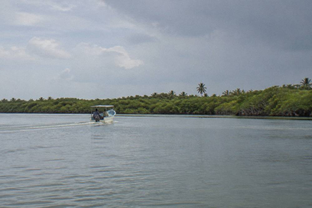 Open boat crossing a wide calm lagoon toward mangrove edge