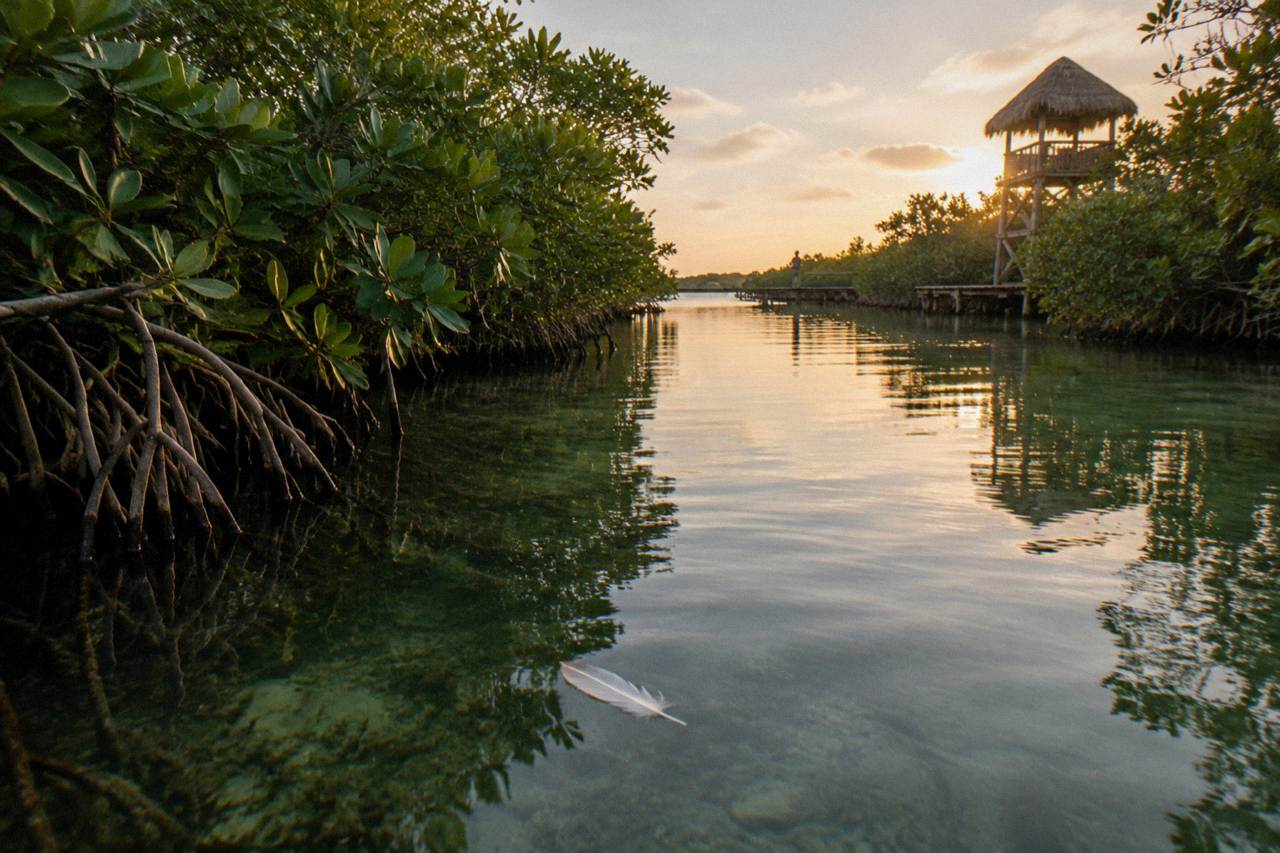 Slow clear water channel through mangrove forest at Muyil