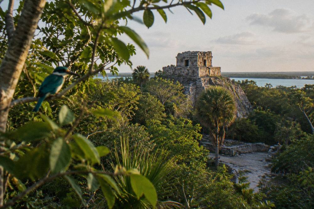 Ancient Maya stone structure rising above low tropical forest near a lagoon