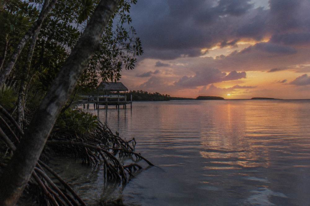 Sunset colors over a wide calm lagoon with mangrove islands silhouetted