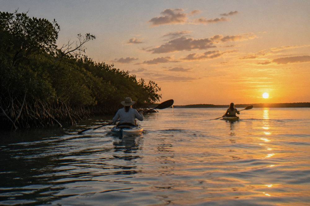 Two kayaks gliding across a calm lagoon at golden hour with mangrove shoreline silhouetted