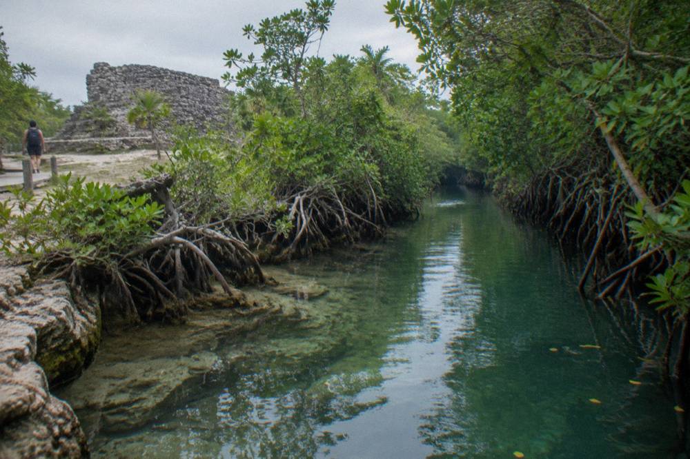 A narrow ancient canal of clear water between mangrove walls under overhanging trees