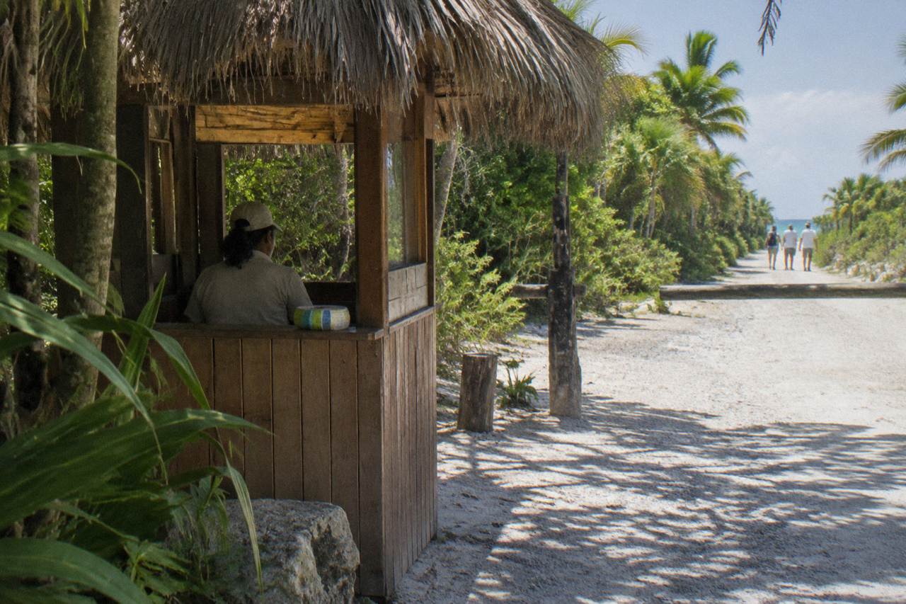 A wooden checkpoint booth beside a dirt road at the edge of a tropical coastal forest
