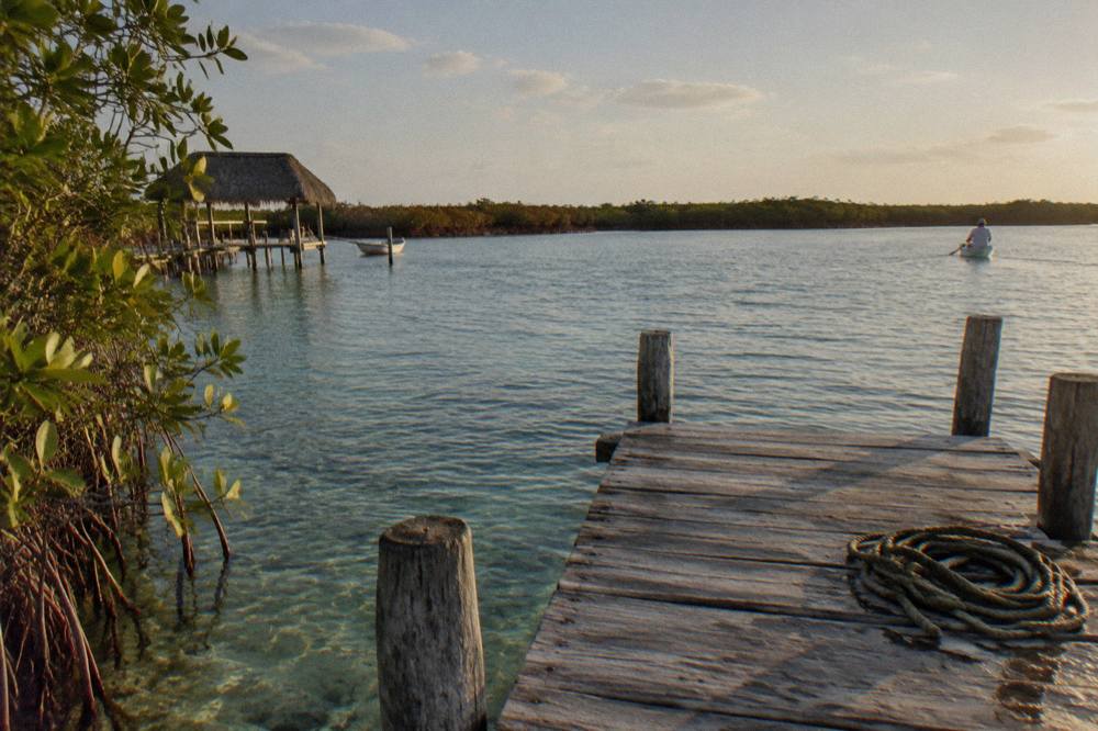 A wooden dock extending into a wide calm lagoon ringed by low mangrove forest