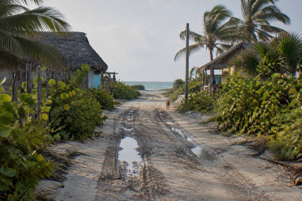 A sandy dirt track winding through low tropical scrub toward a distant coastline