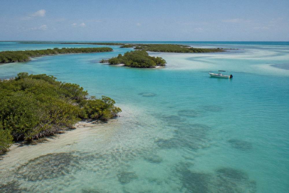 Turquoise shallow bay water and a line of mangrove islets seen from a low flying viewpoint