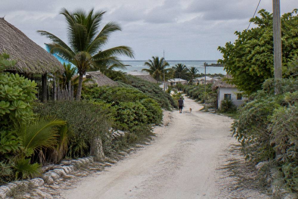 Dirt Road Running Through Coastal Jungle Toward A Small Fishing Village