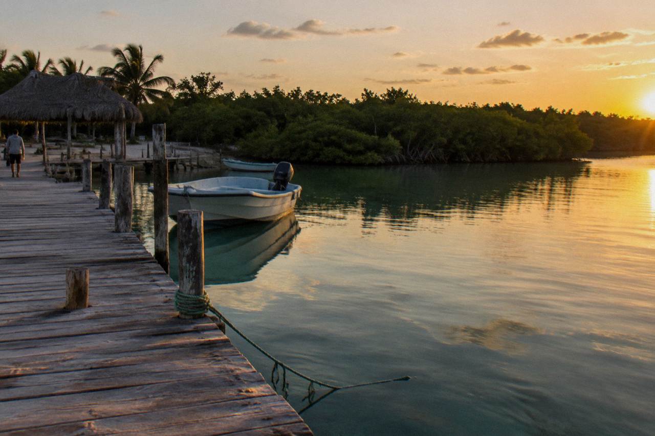 Wooden dock reaching into a calm lagoon surrounded by mangroves at golden hour