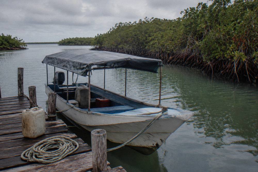 A covered fishing boat moored at a wooden dock on a calm lagoon surrounded by mangroves