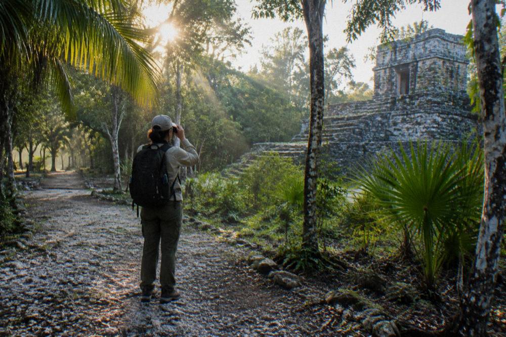 A person with binoculars standing on a jungle boardwalk trail in early morning light