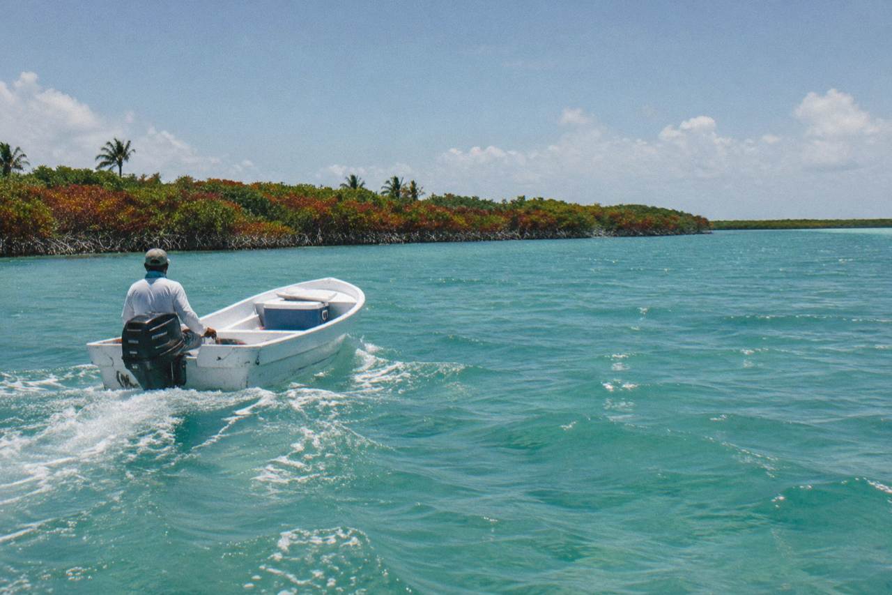 A small boat crossing a wide turquoise lagoon edged by mangroves under a bright sky