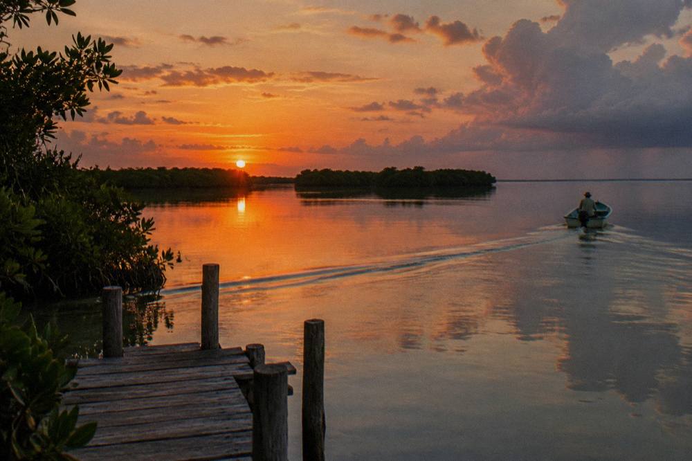 Sunrise light over a still lagoon with mangrove islands in the distance