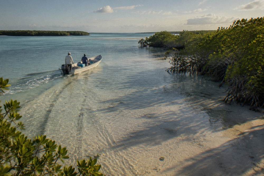 A small boat crossing a wide shallow lagoon fringed by mangroves
