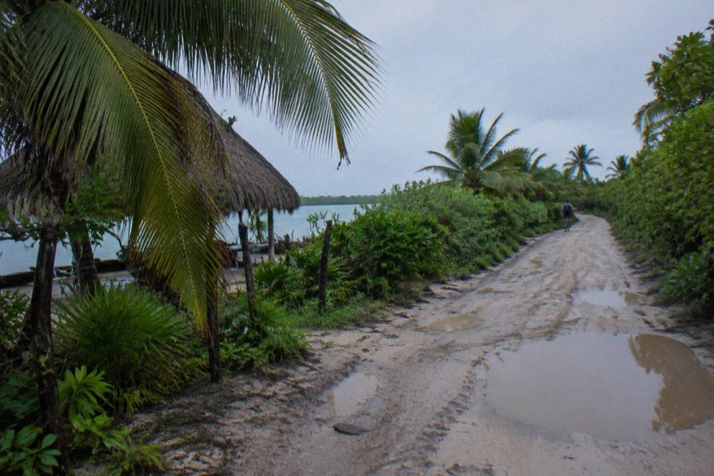 A dirt road with sand and shallow puddles winding through dense low jungle