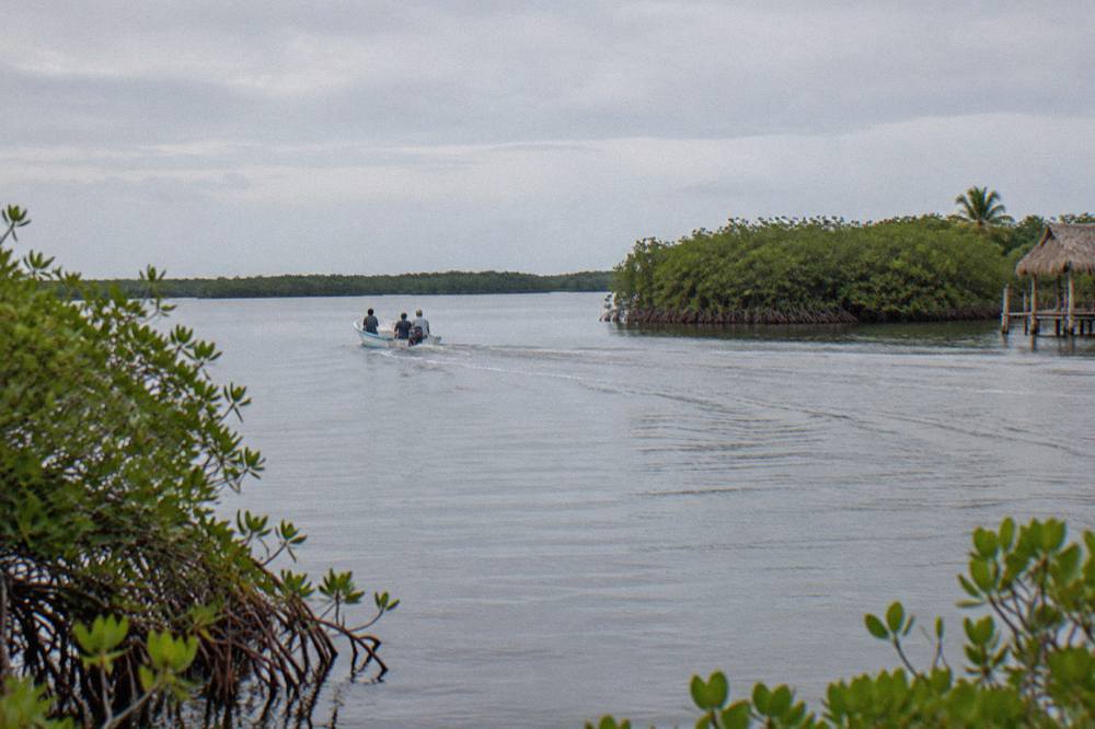 Small boat crossing a wide calm lagoon fringed with mangroves