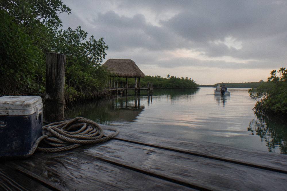 Still lagoon water ringed by mangroves with a wooden dock in the foreground