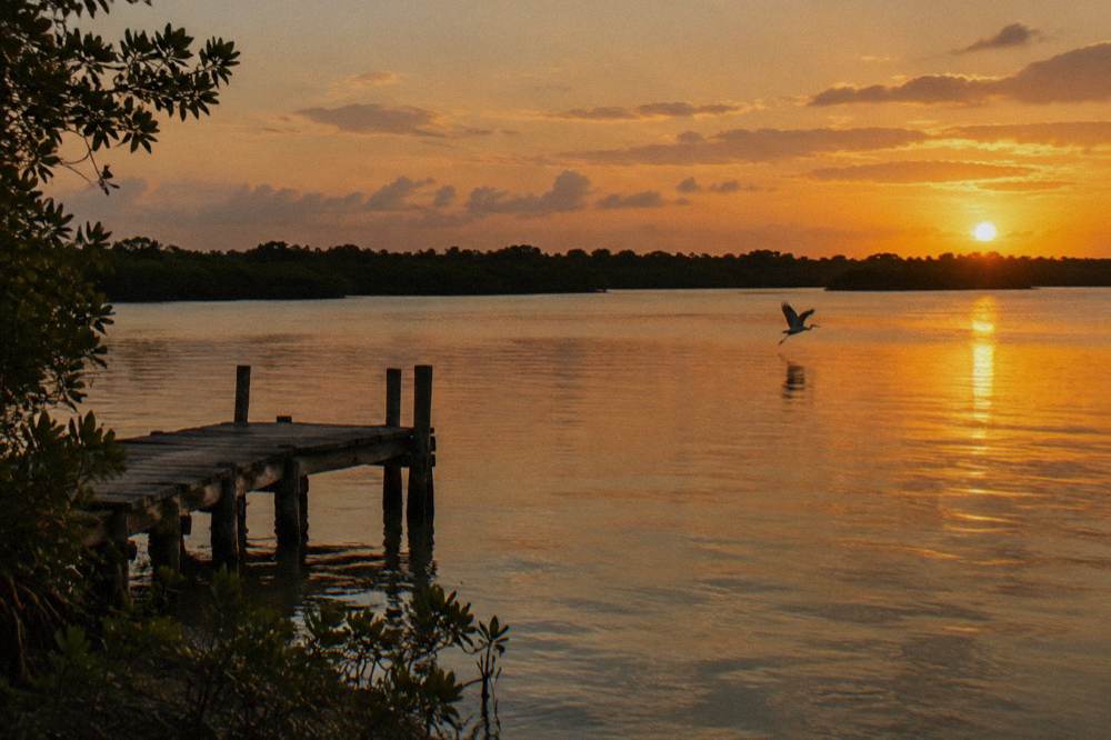Wider lagoon view at golden hour with forest silhouetted at the shoreline