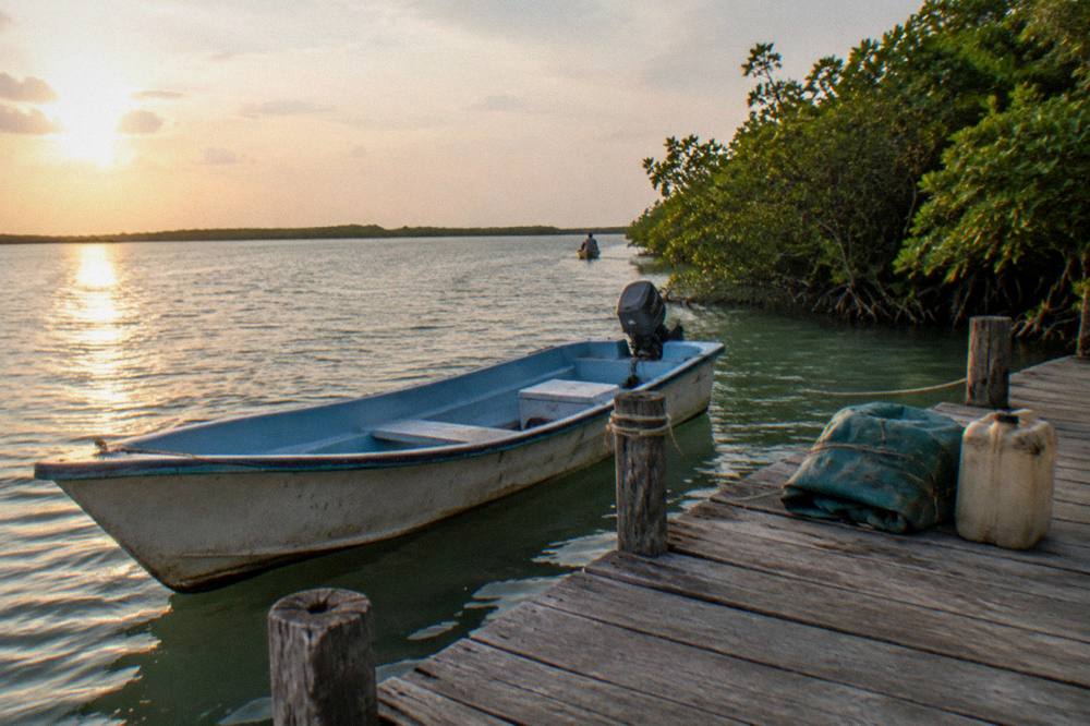 Small open boat moored at a lagoon dock beside mangroves