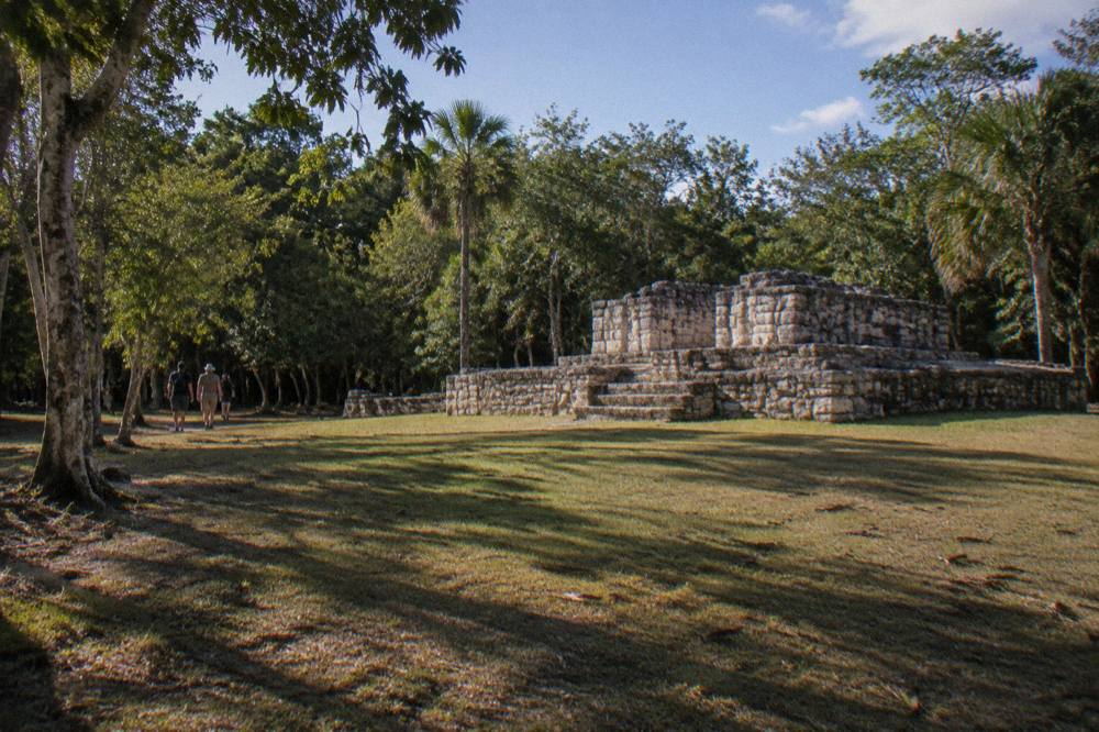 Stone Maya structure standing on a grassy clearing surrounded by tall jungle trees