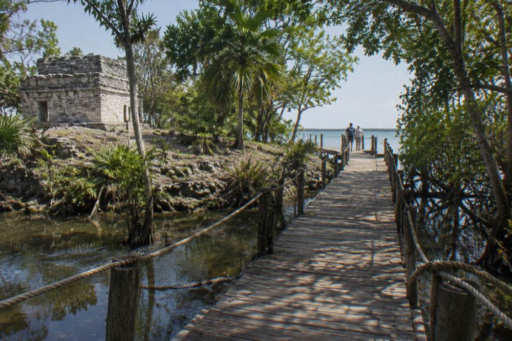 Wooden boardwalk leading through flooded jungle toward open water