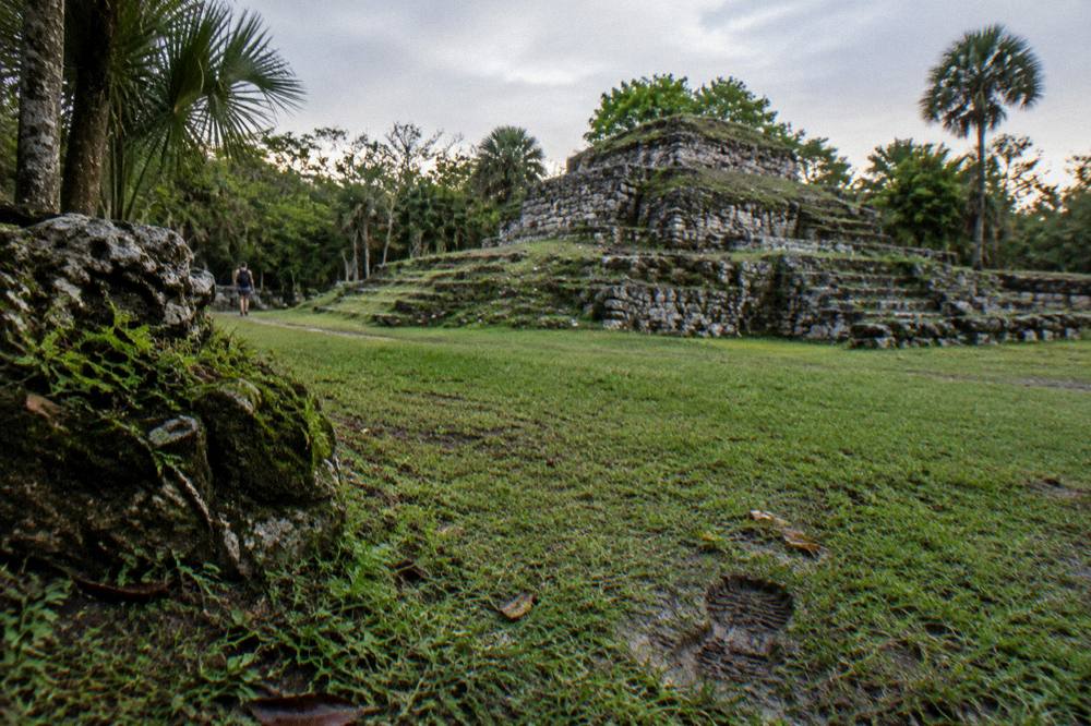 Grass-covered stone ruins in a quiet jungle clearing with no visitors