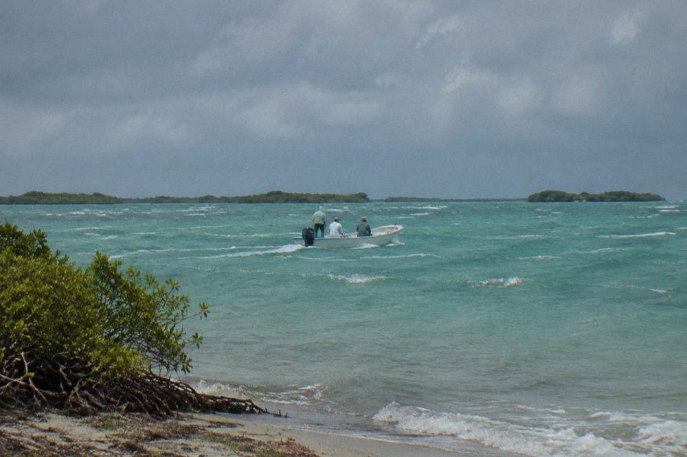 A small open boat crossing a wide shallow lagoon fringed by mangroves