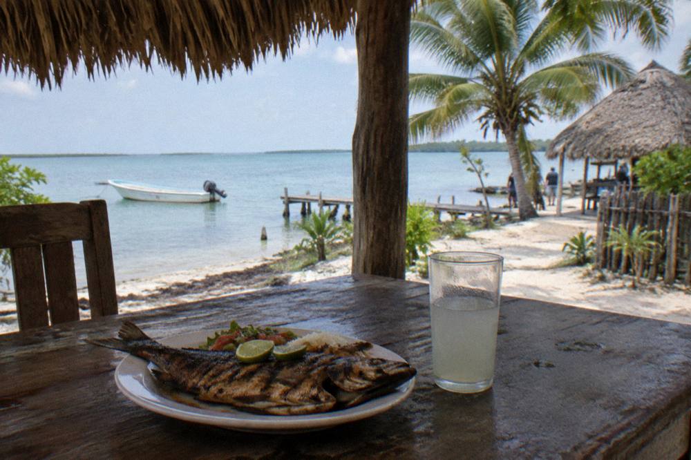 A grilled fish lunch plate served on a wooden table overlooking a calm bay