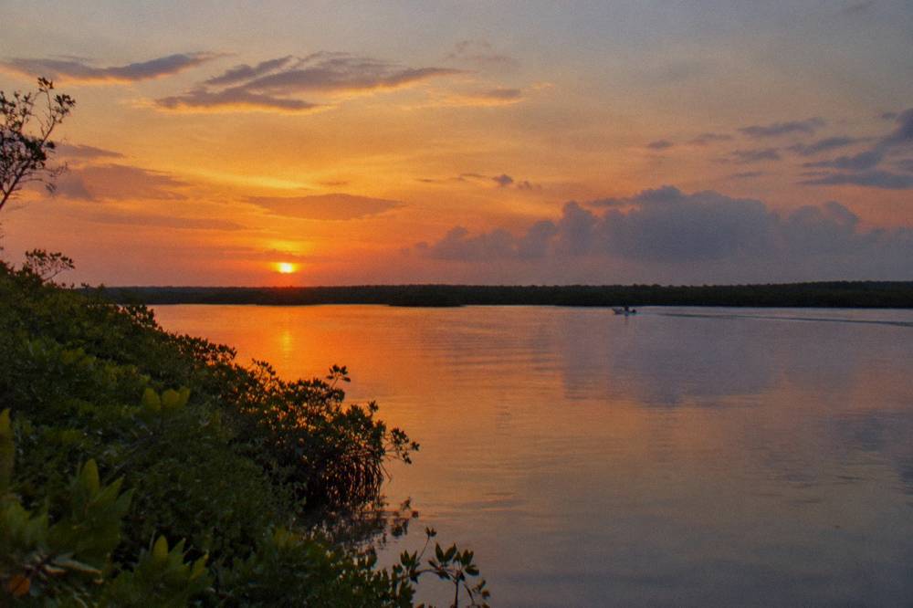 Sunrise colors over calm lagoon water with mangrove shoreline silhouettes