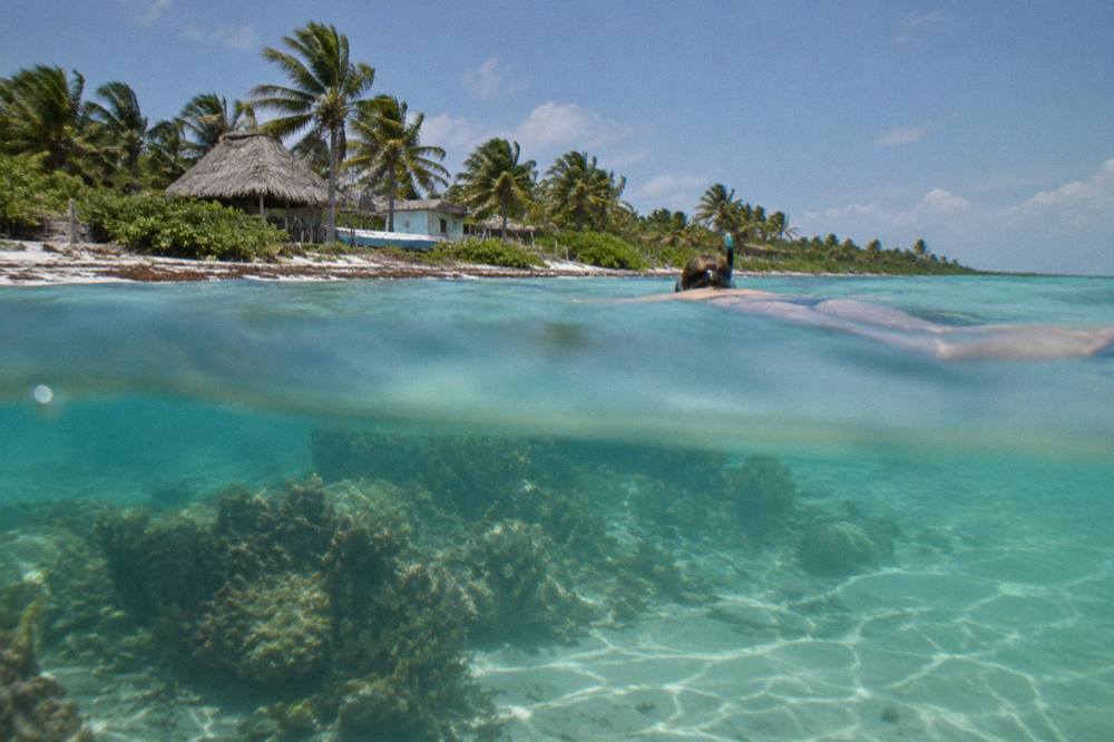 Snorkeler floating above a shallow coral reef in clear turquoise water