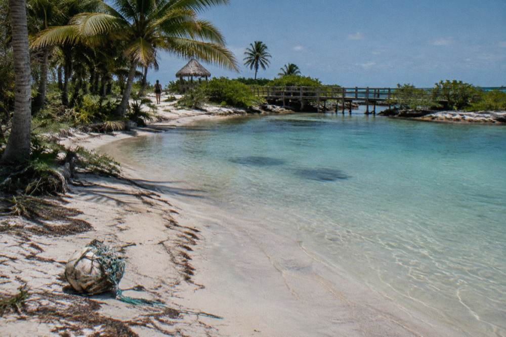 Palm-fringed sandbar and shallow turquoise natural pool along a low coastline