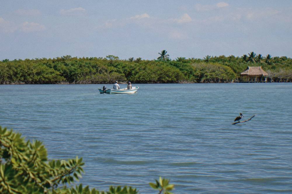 A small boat drifting on a wide lagoon with mangroves along the far shore