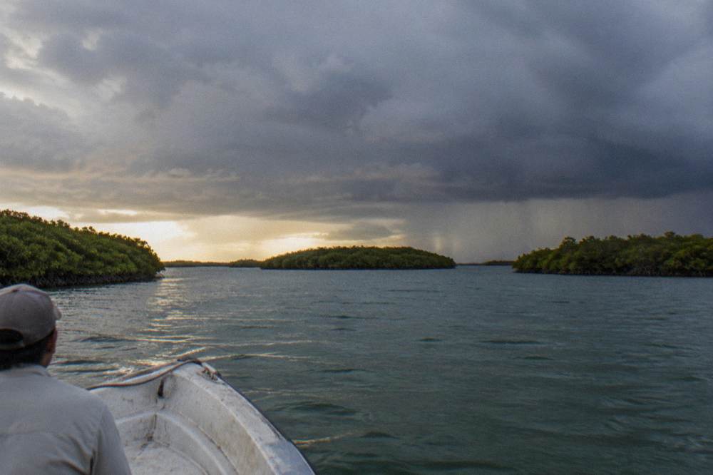 A boat crossing open water toward mangrove islands in late afternoon light