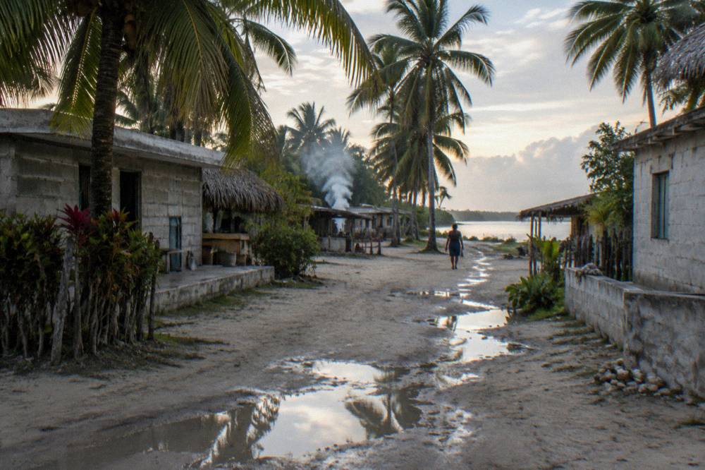 A calm street of low wooden buildings under palm trees in a small beach town at dawn