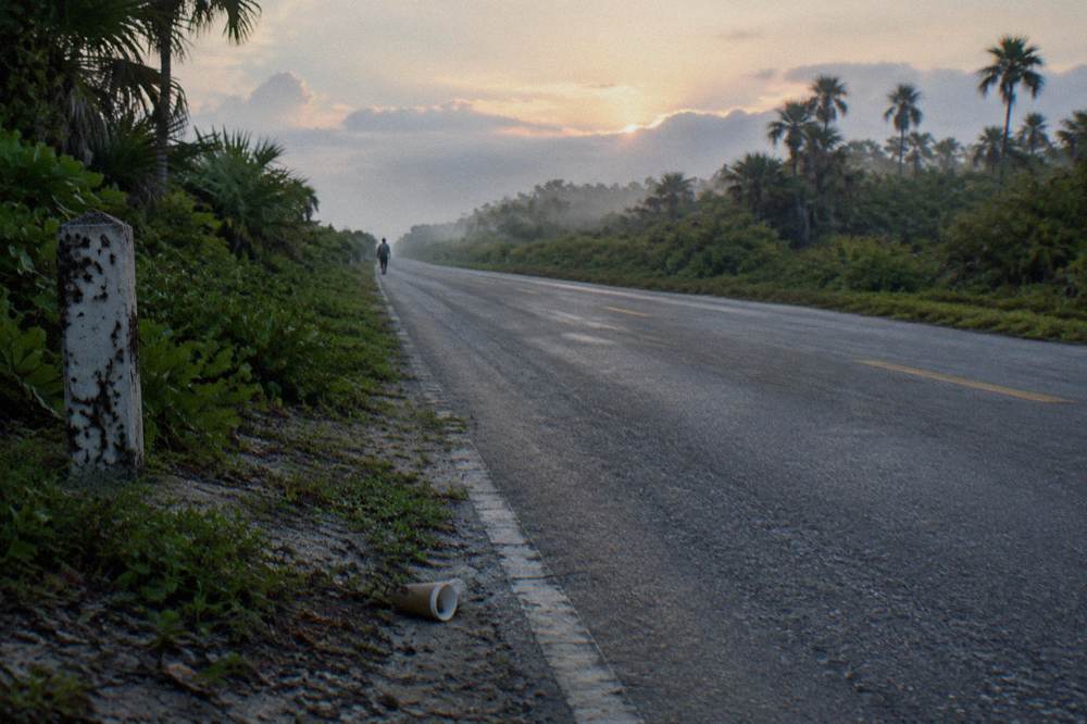 An empty highway at first light running south through low tropical forest