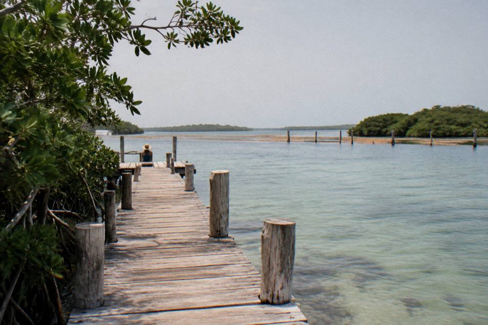 A wooden dock extending into a glassy lagoon ringed by mangroves under a wide sky