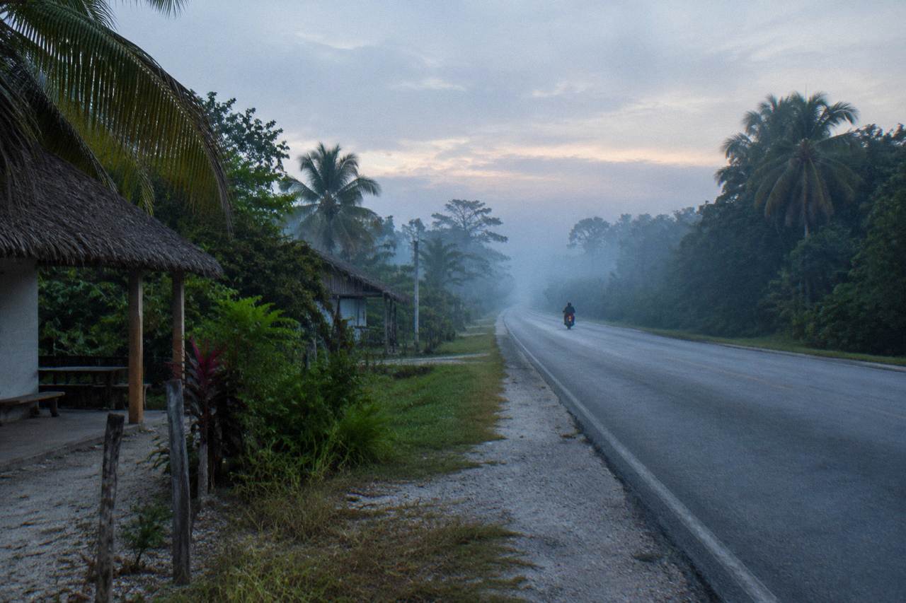 Early morning light over an empty coastal highway lined with low jungle in the Yucatan