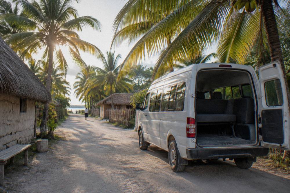 A white passenger van parked on a dirt road beside tall palms in early morning light