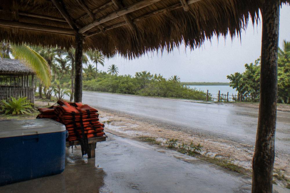 A wooden dock extending into a calm lagoon with dense green mangroves on the far shore